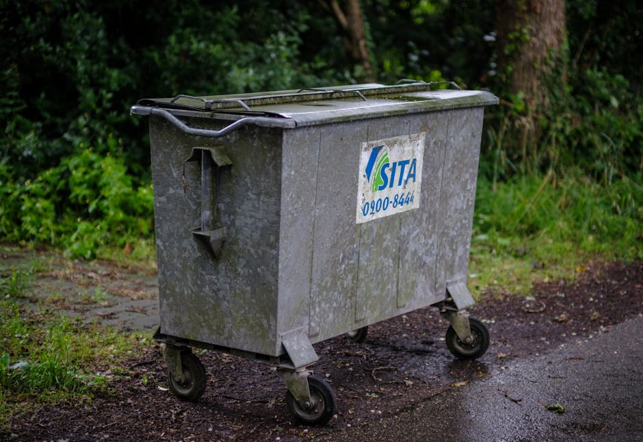 A weathered grey metal mailbox with graffiti and stickers is mounted on a tilted black post in a dense woodland area, surrounded by tall trees with dark trunks and green foliage. The mailbox's open to